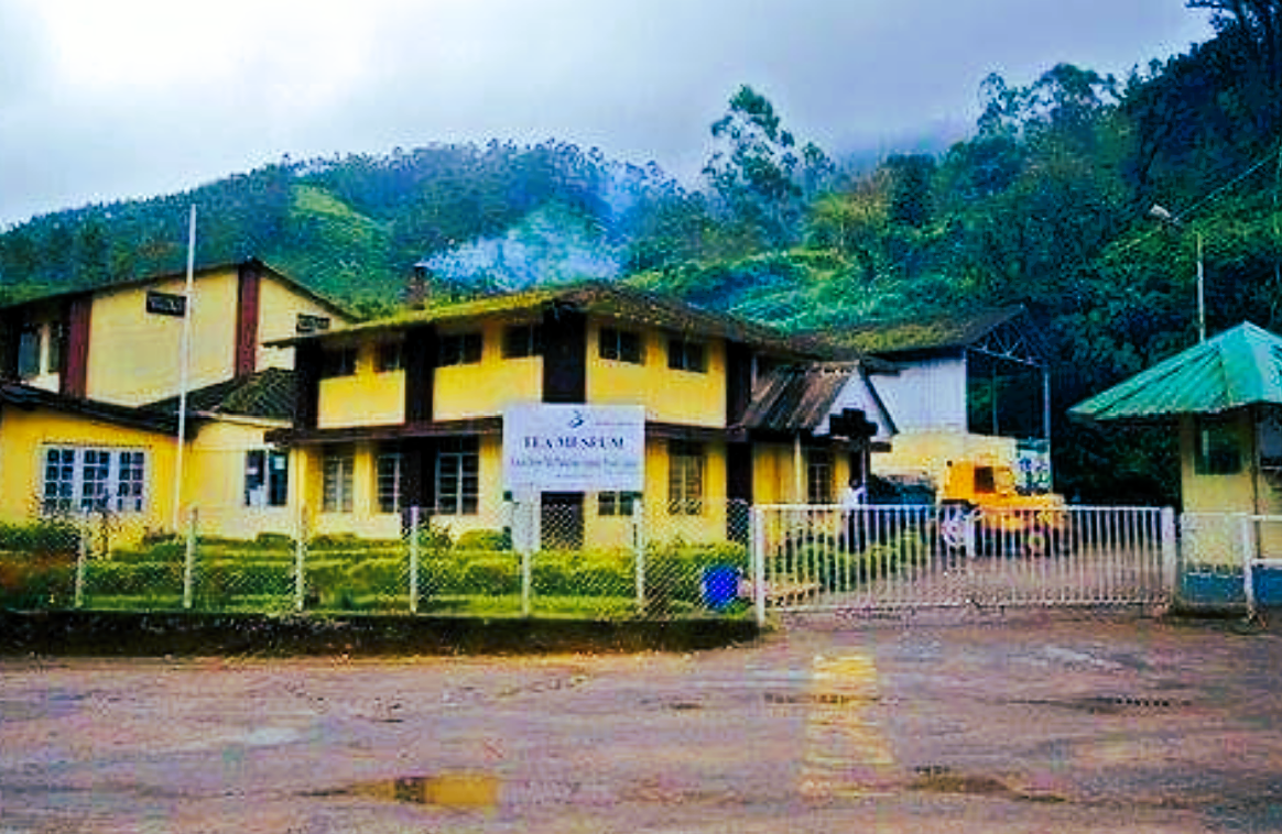 Bajrangi Yadav